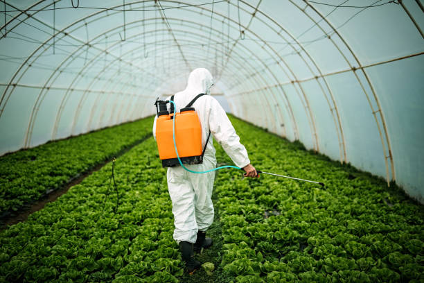Best Best Pest Control Companies  in Forest Hills, PA
