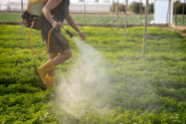 Best Pest Control for Homes  in Forest Hills, PA