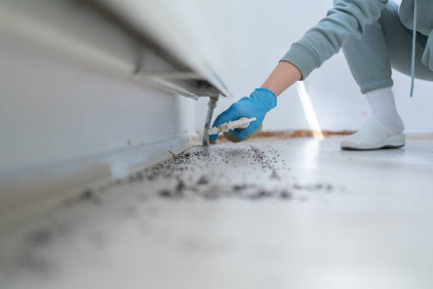 Best Wasp Removal Services  in Forest Hills, PA
