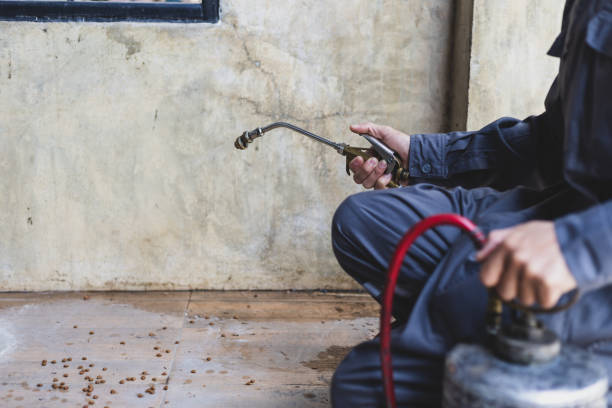 Best Pest Removal Services  in Forest Hills, PA